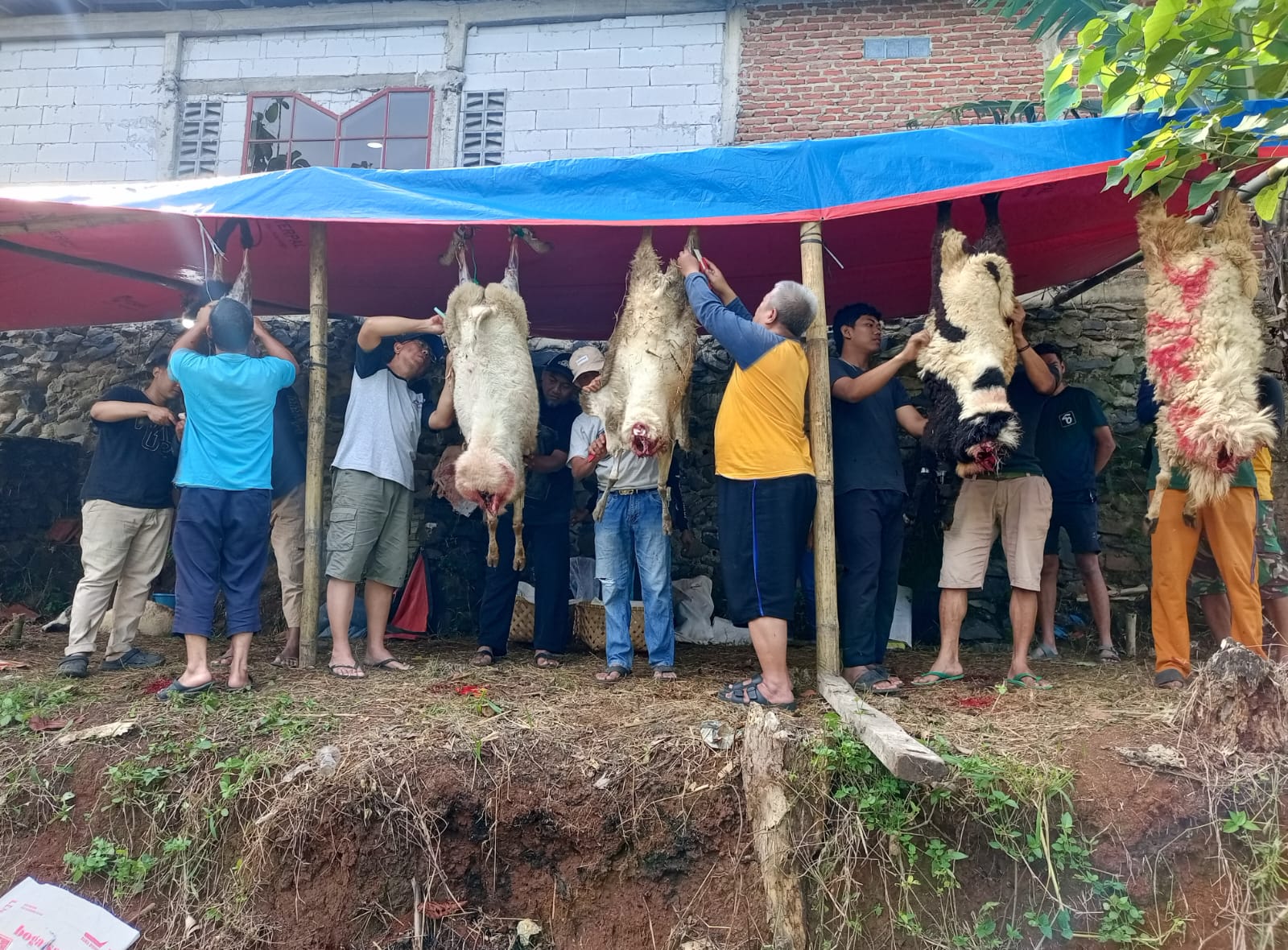 Foto Kegiatan Prosesi Qurban Idul Adha 1447