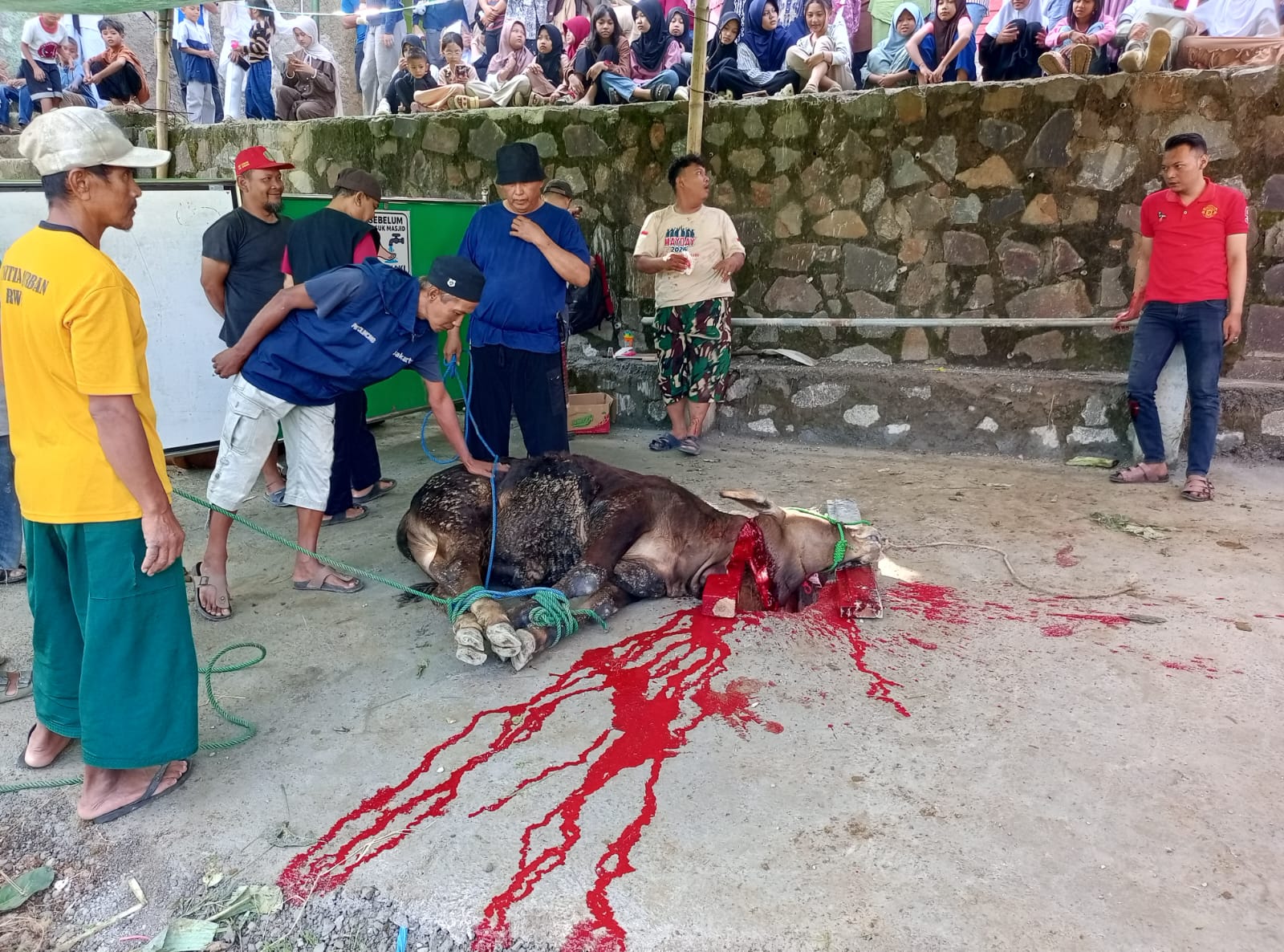 Foto Kegiatan Prosesi Qurban Idul Adha 1447