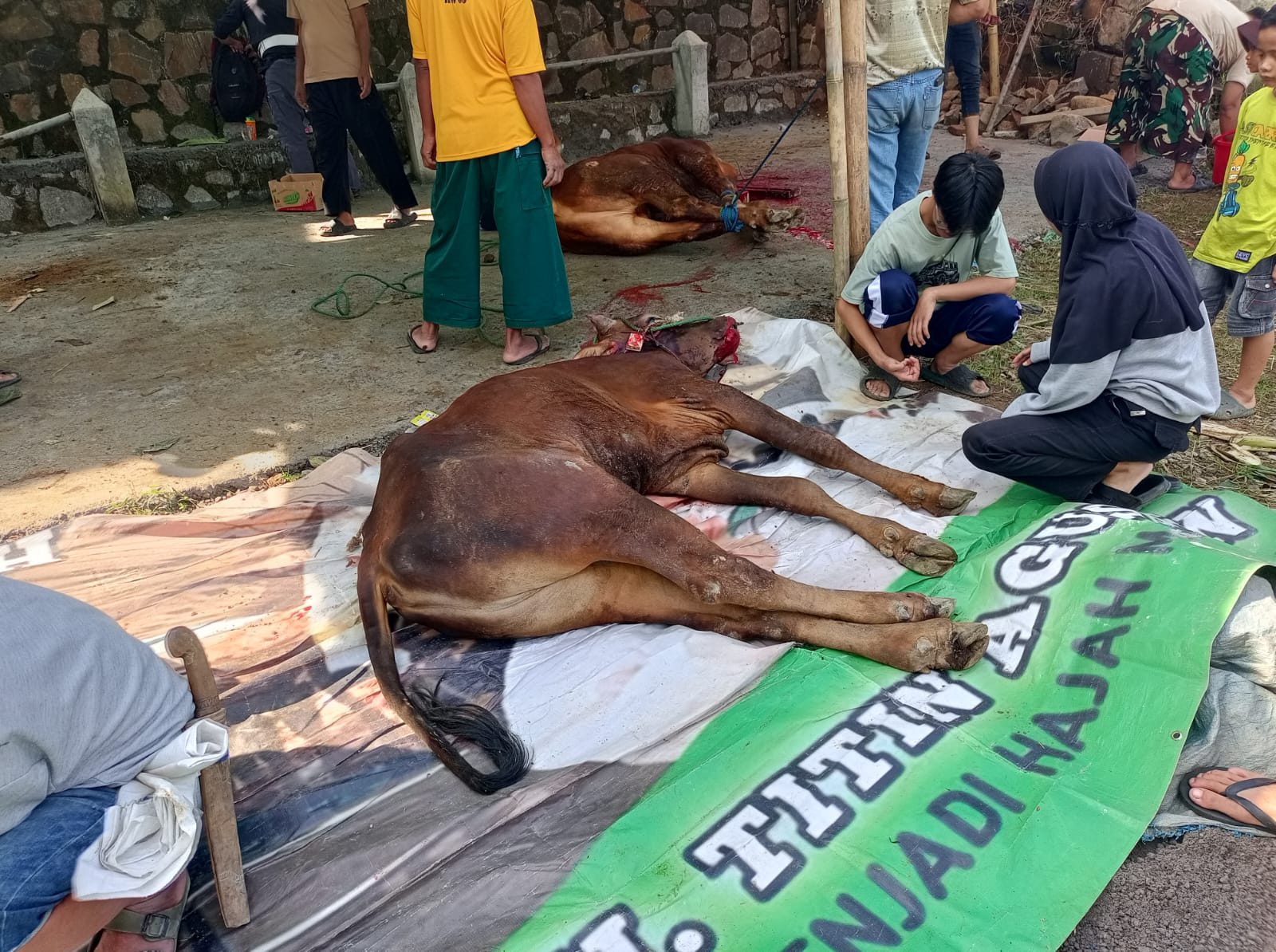 Foto Kegiatan Prosesi Qurban Idul Adha 1447