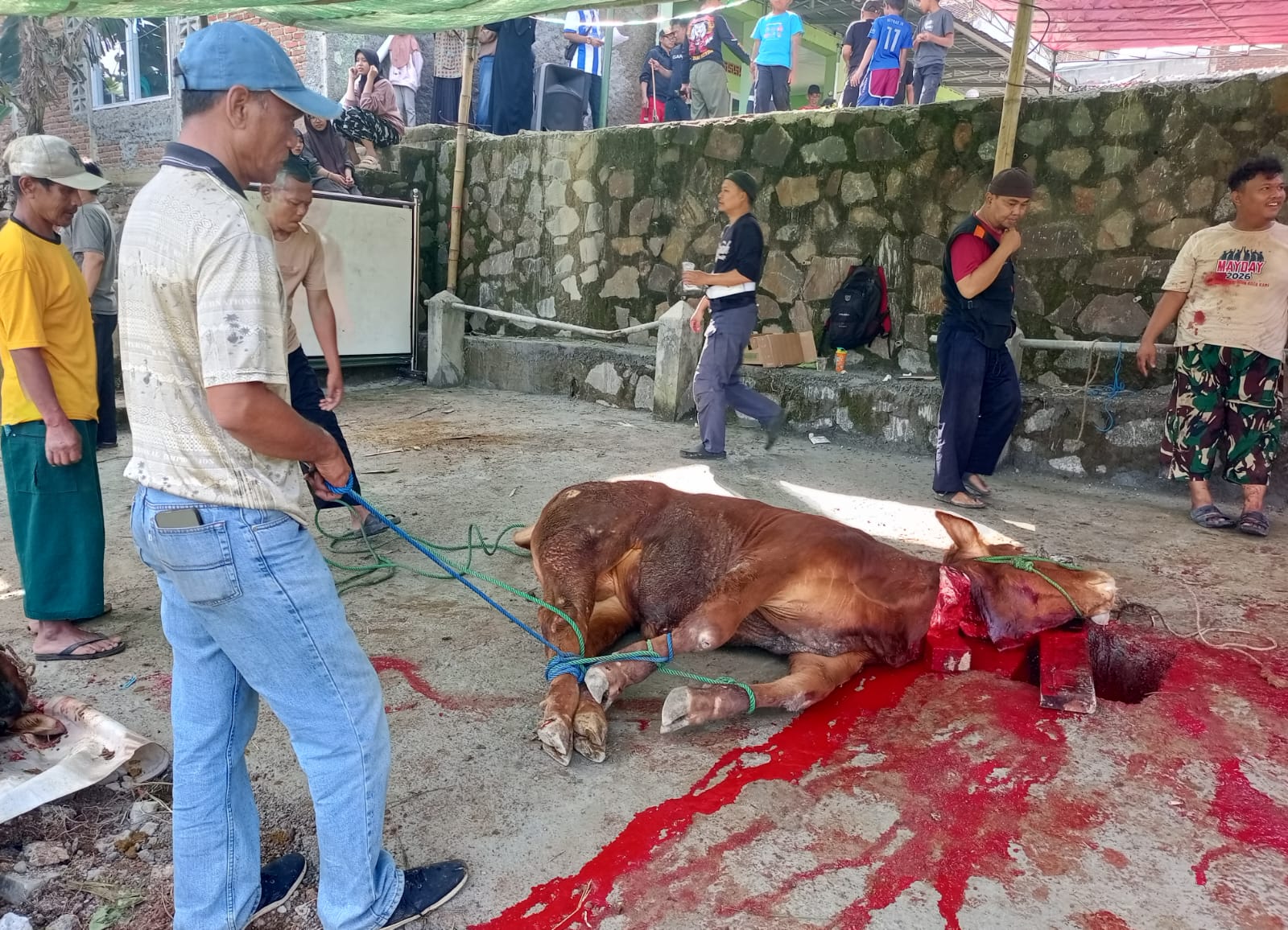 Foto Kegiatan Prosesi Qurban Idul Adha 1447