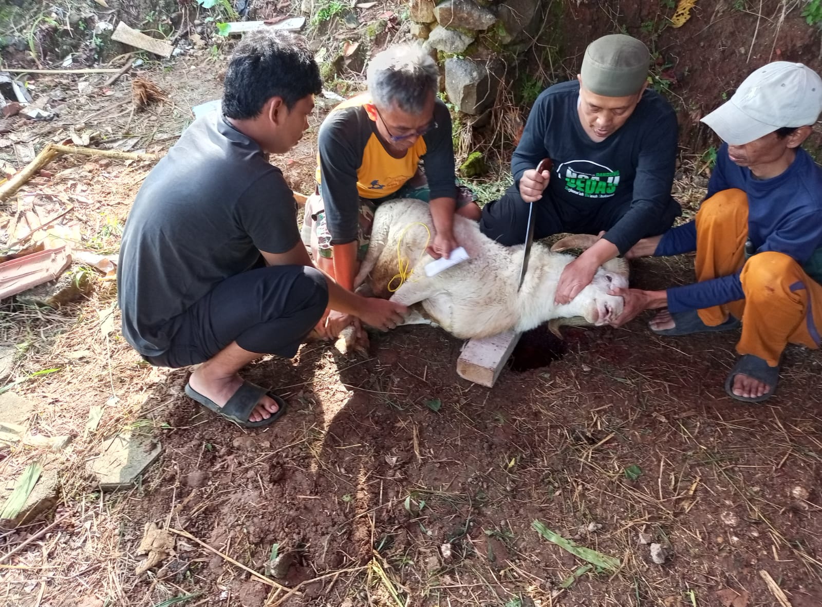 Foto Kegiatan Prosesi Qurban Idul Adha 1447